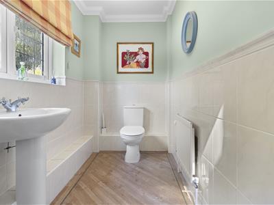 Picture 20